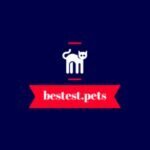 bestest.pets coupons and promo codes