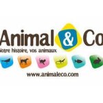 Animaleco coupons and promo codes