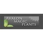 Avalonmagicplants.com coupons and promo codes