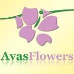 Avas Flowers coupons and promo codes
