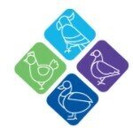 Avian Fashions coupons and promo codes