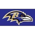 Baltimoreravensstore.com coupons and promo codes