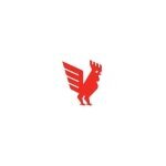 Bantam Tools coupons and promo codes