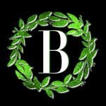 Bara Naturals coupons and promo codes