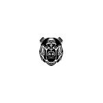 BearCraft Bikes coupons and promo codes