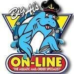 Big Al's coupons and promo codes