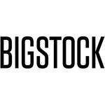 BigStockPhoto coupons and promo codes