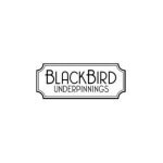 BlackBird underpinnings coupons and promo codes