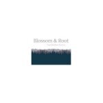 Blossom & Root coupons and promo codes