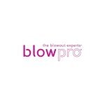 BlowPro® coupons and promo codes