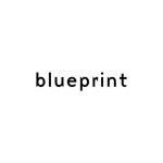 Blueprint-x Secret Money Making Formula coupons and promo codes