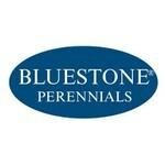 Bluestone Perennials coupons and promo codes