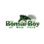 Bonsai Boy coupons and promo codes