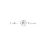 Boulder Blooms coupons and promo codes