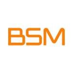 BSM coupons and promo codes