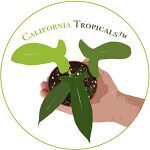 California Tropicals Codes coupons and promo codes