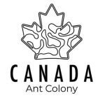 Canada Ant Colony coupons and promo codes