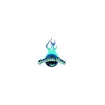 Chameleon Glass coupons and promo codes