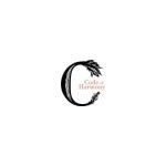 Code of Harmony coupons and promo codes
