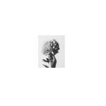 Color Yourself Beautiful coupons and promo codes