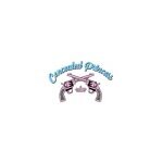 Concealed Princess coupons and promo codes
