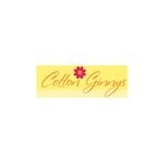 Cotton Ginnys coupons and promo codes