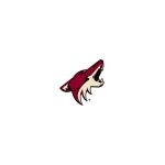 Phoenix Coyotes coupons and promo codes