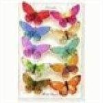 Darlybird.com coupons and promo codes