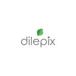 Dilepix coupons and promo codes