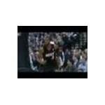 Donthatemiami.com coupons and promo codes