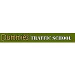 Dummies Traffic School coupons and promo codes