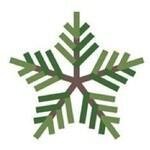 Fivestarchristmastrees.com coupons and promo codes