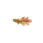 Forestprints Design coupons and promo codes