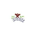 Froose coupons and promo codes