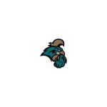 Coastal Carolina Athletics coupons and promo codes