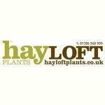 Hayloft Plants coupons and promo codes