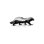 Honey Badger of Money coupons and promo codes