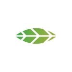 iBreathe coupons and promo codes