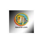 Ken's Fish coupons and promo codes
