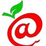 Sandi Kruise Insurance Training coupons and promo codes