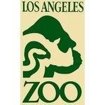 Lazoo coupons and promo codes