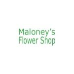 Maloney's Flower Shop coupons and promo codes