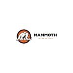 Mammoth Interactive coupons and promo codes