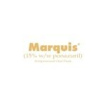 Marquis Oral Paste coupons and promo codes