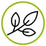 Kunaq coupons and promo codes