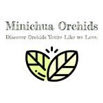 Minichua-orchids coupons and promo codes