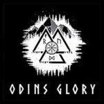 Odins-Glory Codes coupons and promo codes