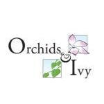 Orchids & Ivy coupons and promo codes