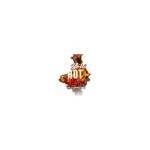 Pallotta Hot coupons and promo codes