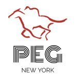 Peggie Shop coupons and promo codes